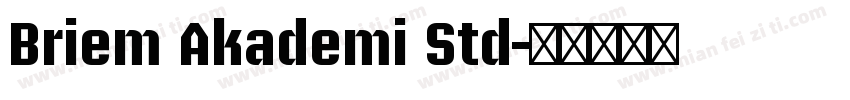Briem Akademi Std字体转换